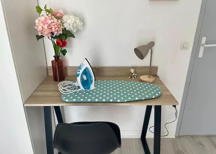 Cosy Au Coeur De Dijon